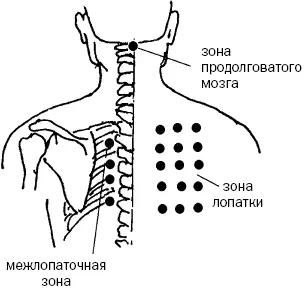 Рис 10 а Рис 10 б Рис 10 в Рис 10 г - фото 31