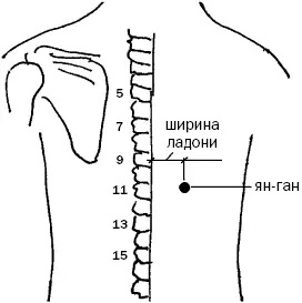 Простукивание активных точек метод пробуждения целительной энергии С подробным атласом - фото 37