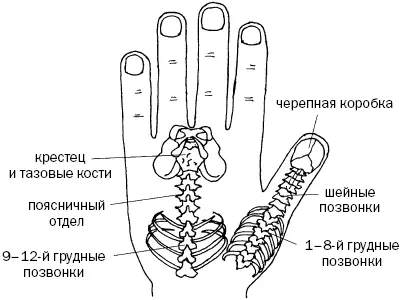 Рис 14 а Рис 14 б Посмотрите внимательно на рис 14 а б в этой - фото 43