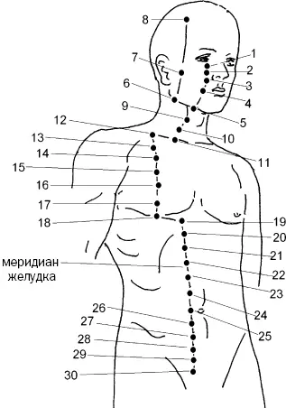 Рис 25 а Рис 25 б Меридиан соединяет 45 поверхностных точек Мы - фото 69