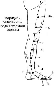 Рис 26 а Рис 26 б Главные точки канала возбуждающая точка 2 Даду - фото 71