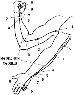 Рис 27 Главные точки меридиана возбуждающая точка 9 Шаочун успокаивающая - фото 73