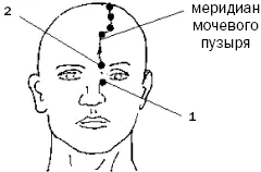 Рис 29 а Рис 29 б Рис 29 в Активные точки меридиана мочевого - фото 75