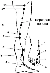 Рис 34 а Рис 34 б Внутренний ход меридиана из межреберного промежутка - фото 85