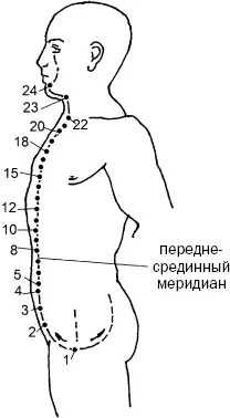 Рис 36 б 2 Цюйгуизогнутая кость расположена на середине верхнего края - фото 93