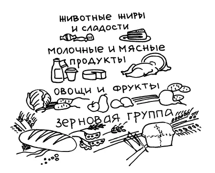Рис 25 Зерновая группа Эти продукты снабжают организм углеводами - фото 33