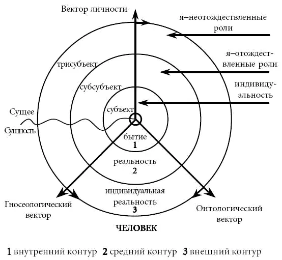 Рис 6 Система человека онтологический и гносеологический вектора вектор - фото 6