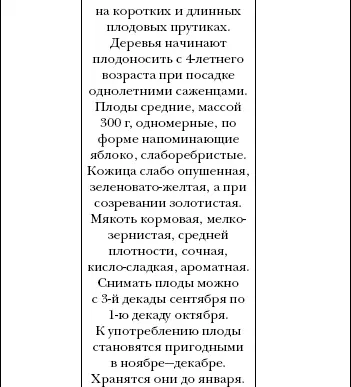 Арбуз дыня алыча и другие южные культуры Выращиваем в средней полосе - фото 38