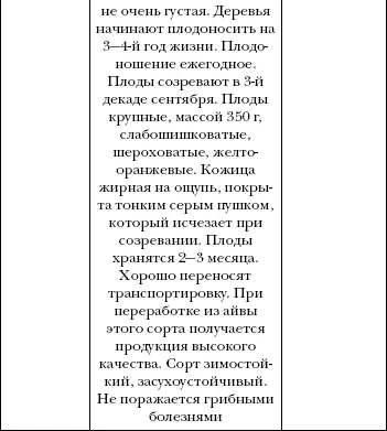 Сорта айвы делятся на самоплодные частично самоплодные и самобеспл - фото 48