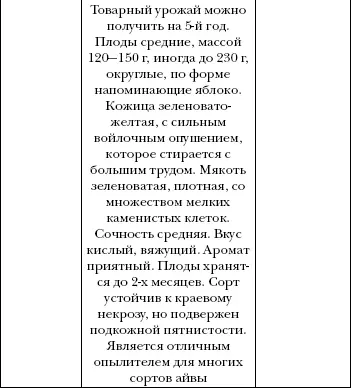 Сорта айвы делятся на самоплодные частично самоплодные и самобесплодные - фото 51