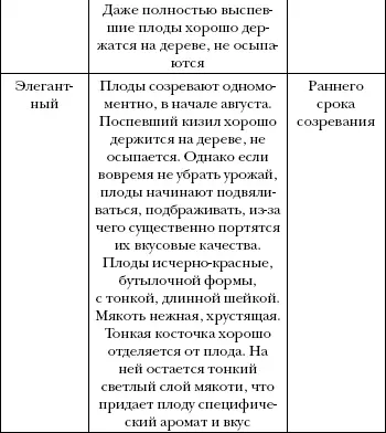 Многие дачники выращивают на своих участках дикий кизил Интерес к садовым - фото 68