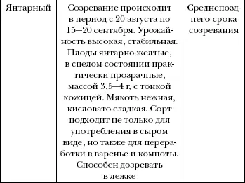 Многие дачники выращивают на своих участках дикий кизил Интерес к садовым - фото 69