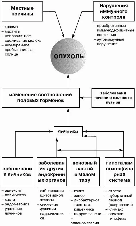 Опыт моей прабабушки Как быть здоровым без таблеток - изображение 50