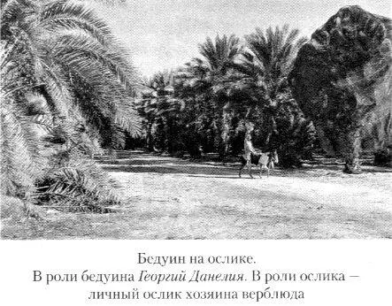 ЗУБ ВЕРБЛЮДА - фото 19