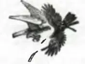 Пат Габори поговорить любит И когда он открывает рот его с замиранием - фото 48