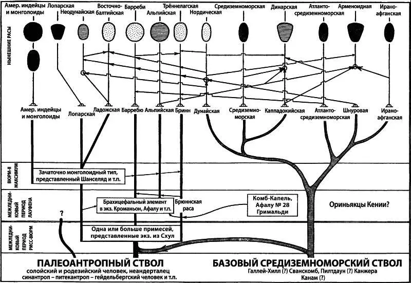 Рис 30 Кроме собственно европейских рас перечисленных в предыдущих - фото 58