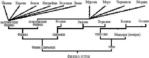 Рис 31 Лингвистические взаимосвязи финноугров По Kajava Y EA 8 9 - фото 60