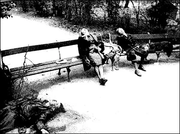 Нацистский офицер застрелил жену и детей Берлин 1945 г Если формула - фото 42