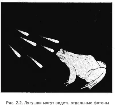 Это свойство появляться лишь в виде кусочков дискретных размеров называется - фото 4