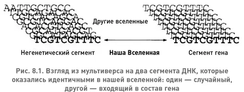 Но с волшебным микроскопом который мог бы заглянуть в другие вселенные что я - фото 16
