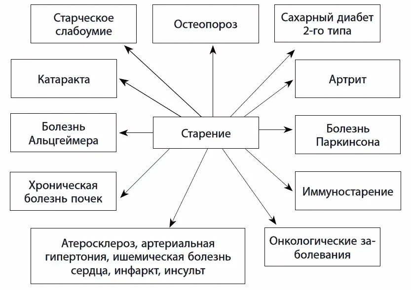 Рис 8 Возрастзависимые заболевания в основе развития которых лежит старение - фото 9