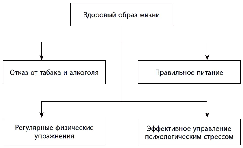 Рис 10 Составляющие здорового образа жизни способствующего долголетию - фото 14