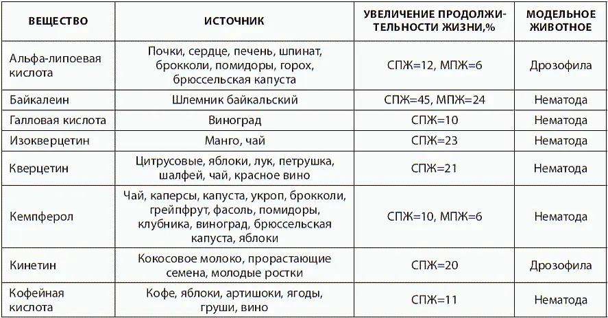 Физическая и умственная активность С самого детства мы слышим призывы к - фото 40