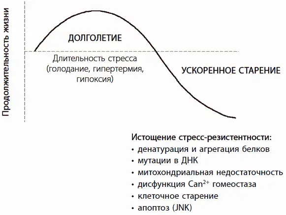 Рис 20 Разнонаправленное действие умеренного и длительного стресса на - фото 47