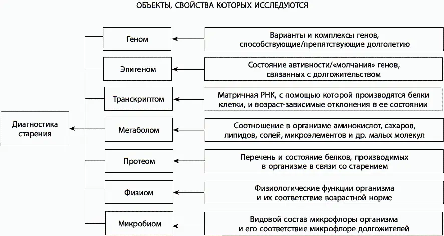 Рис 29 Диагностика старения будущего Всесторонняя диагностика старения - фото 58