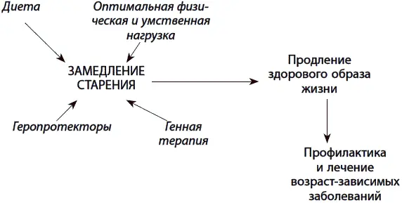 Рис 32 Медицина будущего сможет способствовать радикальному продлению жизни - фото 64