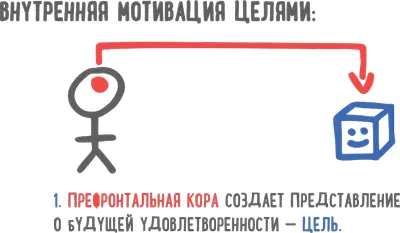 Поскольку наша префронтальная кора позволяет нам очень четко представлять наши - фото 21