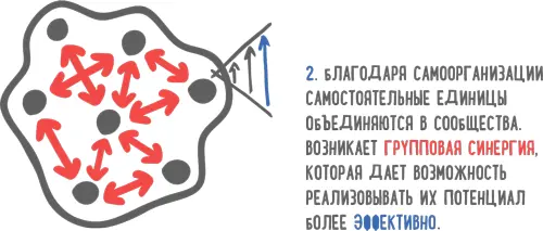 В ходе развития жизни на планете Земля самоорганизация способствовала ключевым - фото 34
