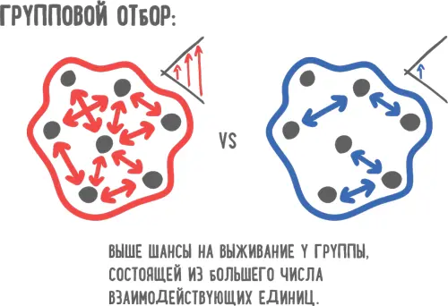 Первобытный человек не знал теории игр и не мог доказать это математическим - фото 36