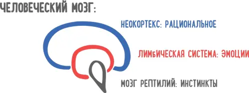 Саморегуляция выражается в способности сознательно управлять нашими эмоциями - фото 48