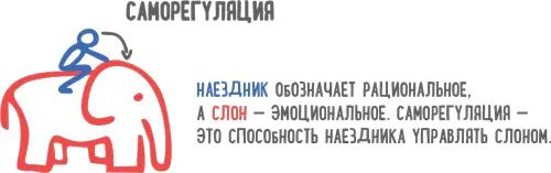 Как наездник должен научиться управлять своим слоном чтобы вести его нужной - фото 51