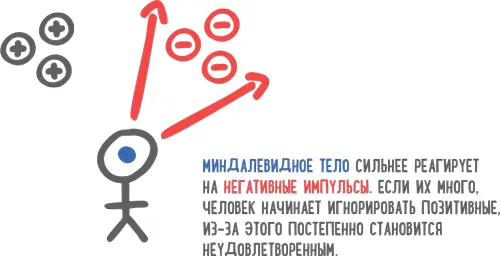 Сегодня изза этой направленности на нашу миндалину многие живут под - фото 94