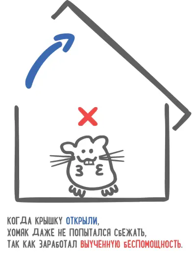 Хомяка можем назвать одной из причин прокрастинации Если мы ничего не делаем - фото 98