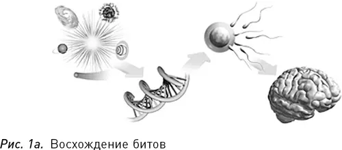 Историю Вселенной можно рассматривать как последовательность революций в сфере - фото 1