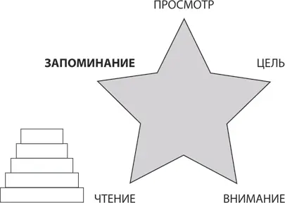 Главное при чтении запоминать главное Начнем с важного показательного - фото 2