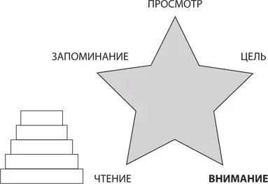 Усиление концентрации внимания при чтении Не имеет значения насколько - фото 7