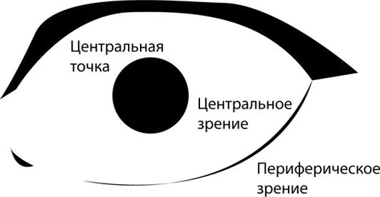 У вашего взгляда есть центральная точка показанная на рисунке Границы - фото 11
