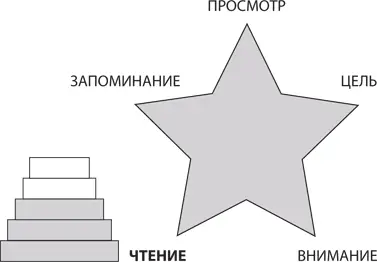 Более высокой скоростью чтения после фразовых фиксаций является чтение по - фото 19