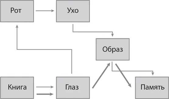 Читая текст мы используем первый канал восприятия информации слово глаз - фото 34