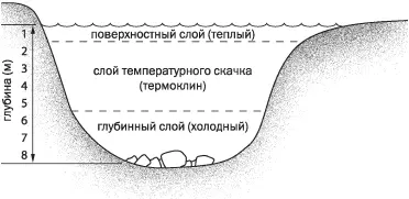 Рис 38 Температурное расслоение воды летом в замкнутых водоемах Среди лета - фото 38