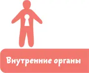 Бывает Тело человека устроено необыкновенно интересно и сложно В нашем - фото 6