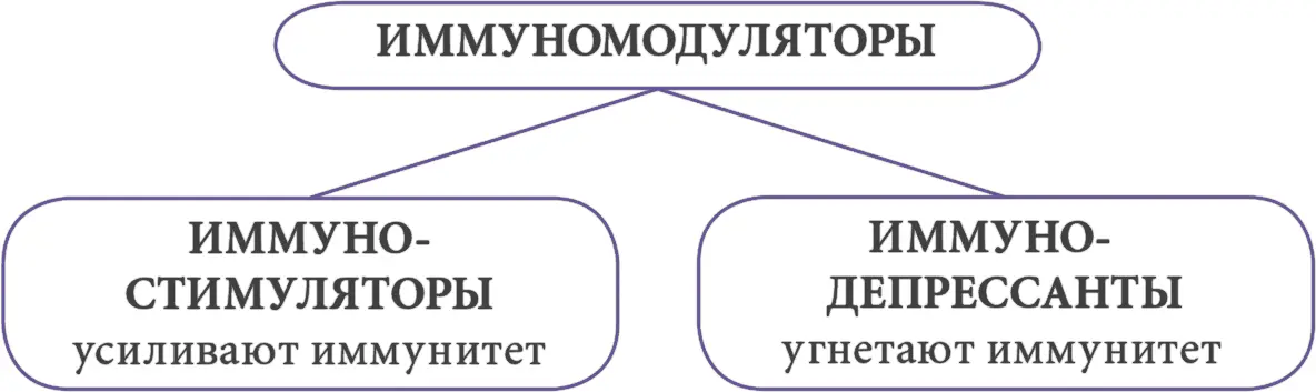 Еще один мощный антиоксидант необходимый для нормального функционирования - фото 30