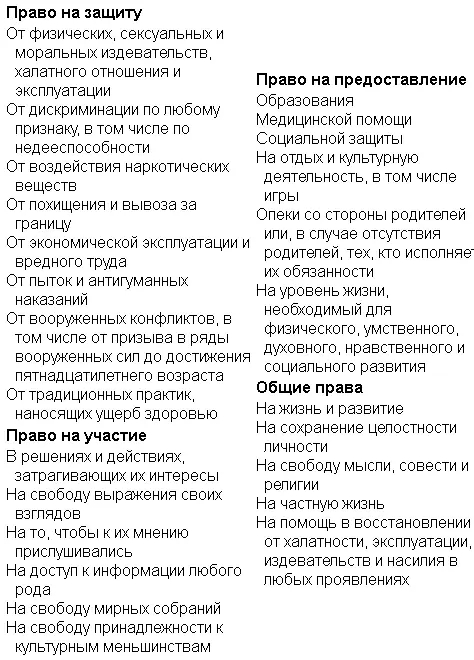 В теории круг принципов отраженных в Конвенции охватывает самые разнообразные - фото 21