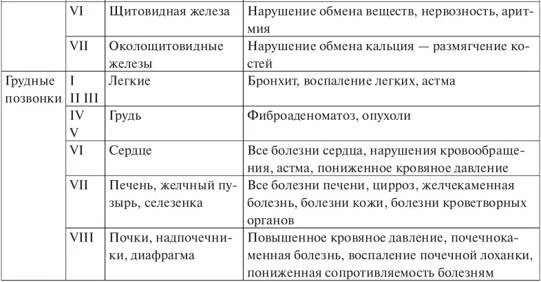 Область поражения позвонка справа слева спереди сзади вверху внизу - фото 5