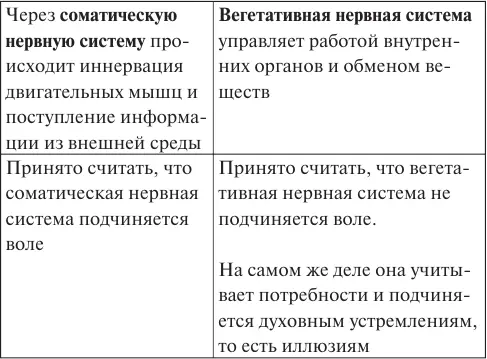 Наиболее длительный путь развития от растения до животного и наконец человека - фото 10
