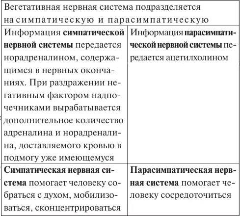 Для выживания в физической оболочке человеку необходимо в меру собираться с - фото 11